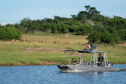 Boat trips in Akagera National Park