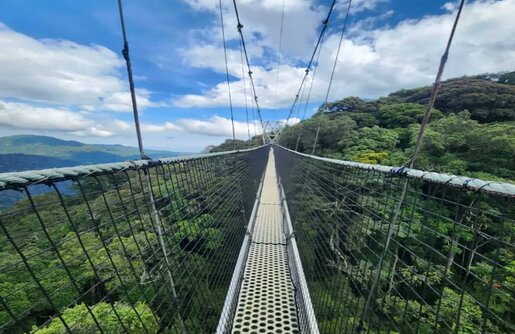 NYUNGWE NATIONAL PARK