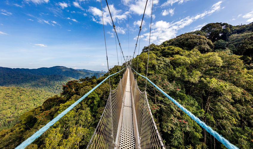 NYUNGWE NATIONAL PARK